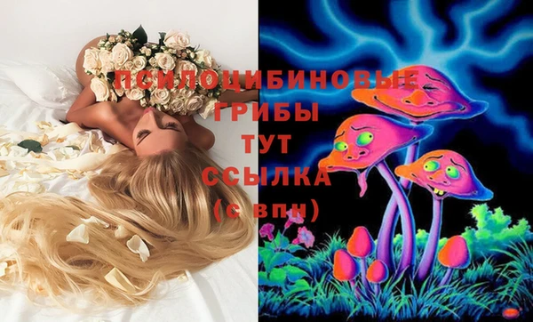 a pvp Пестово