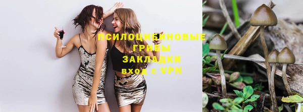 тгк Переславль-Залесский
