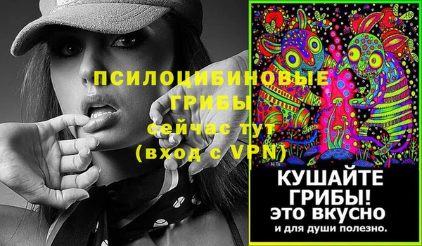 a pvp Пестово