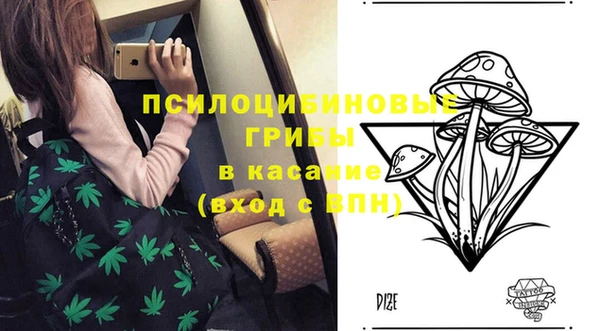 тгк Переславль-Залесский