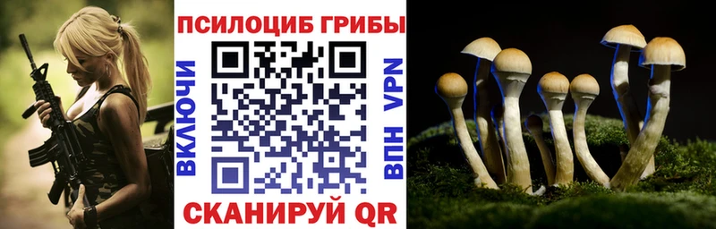 Галлюциногенные грибы MAGIC MUSHROOMS  Тарко-Сале 